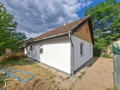 Palić | 4zida.rs