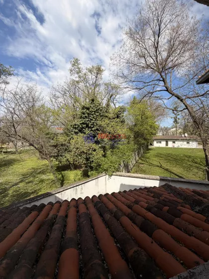 Andre Nikolića | 4zida.rs