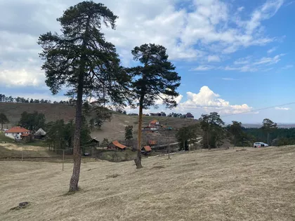 Lazara Kuzelja | 4zida.rs