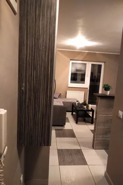 Zeke Buljubaše 12 | 4zida.rs