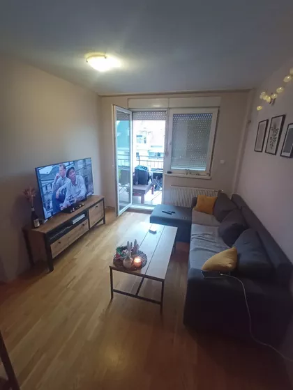 Dr Svetislava Kasapinovića | 4zida.rs