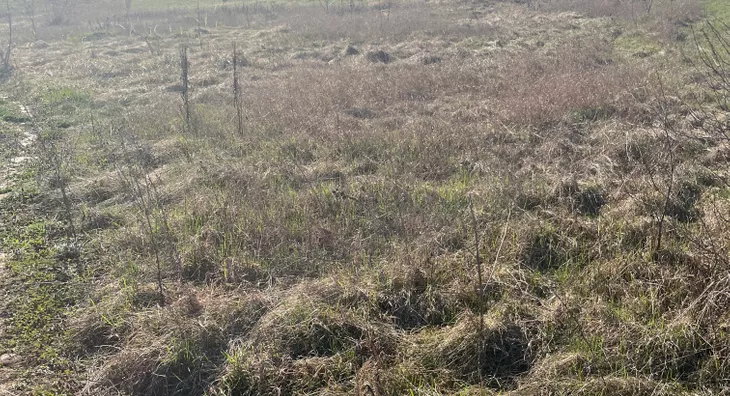 Poljoprivredno zemljište | 4zida