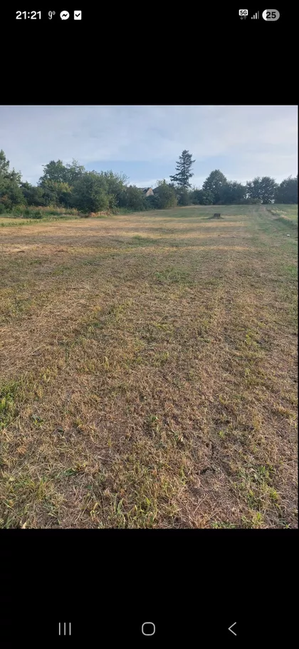 Miodraga Todorovića | 4zida.rs