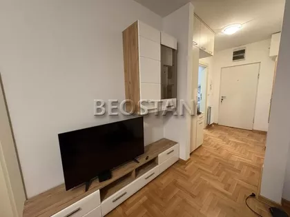 Mileve Maric Ajnstajn | 4zida.rs
