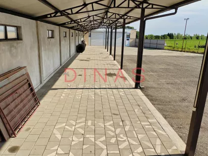 Rumenka | 4zida.rs
