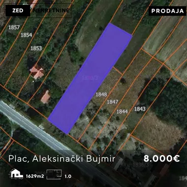 Aleksinački Bujmir