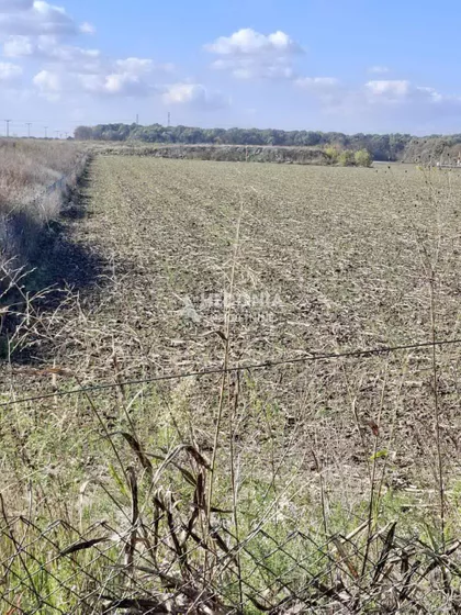 Blok 53 - Kvantaš | 4zida.rs