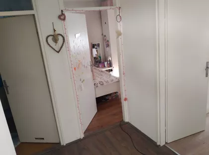 Erdoglija | 4zida.rs