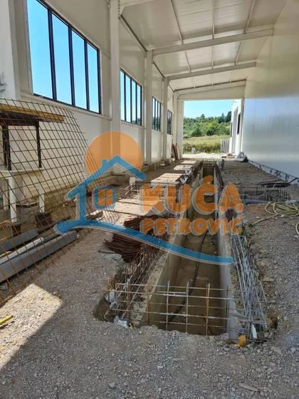 Dušana Trifunca | 4zida.rs