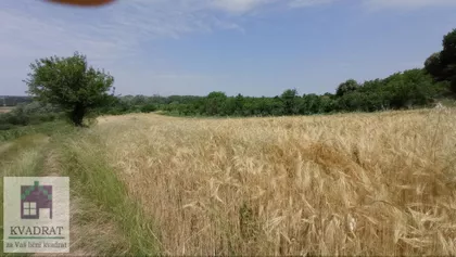 Mislođin | 4zida.rs