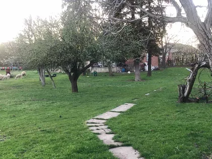 Cara Dušana Nemanjića | 4zida.rs