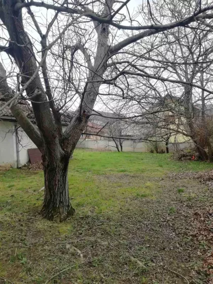 Brza Palanka | 4zida.rs