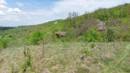 Gornja Bela Reka | 4zida.rs