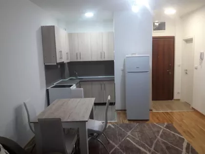 Mis Irbijeve | 4zida.rs