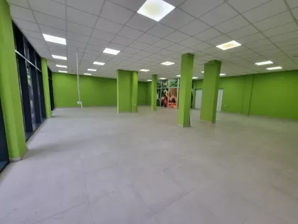 Zmaj Jovina | 4zida.rs