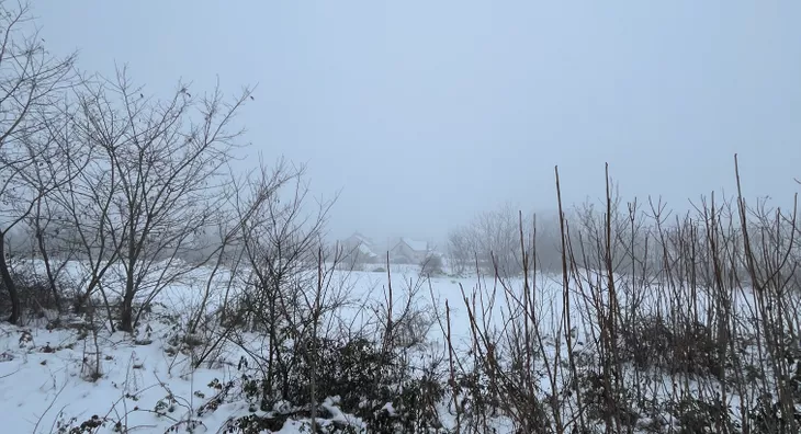 Poljoprivredno zemljište | 4zida