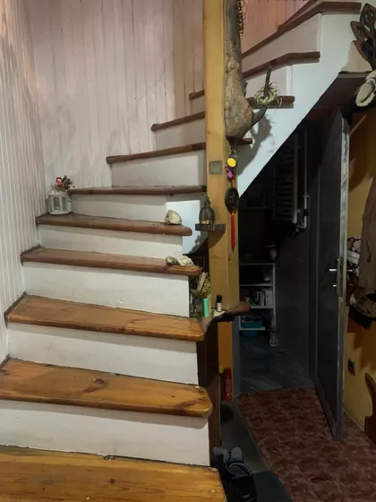 Tina Ujevića | 4zida.rs