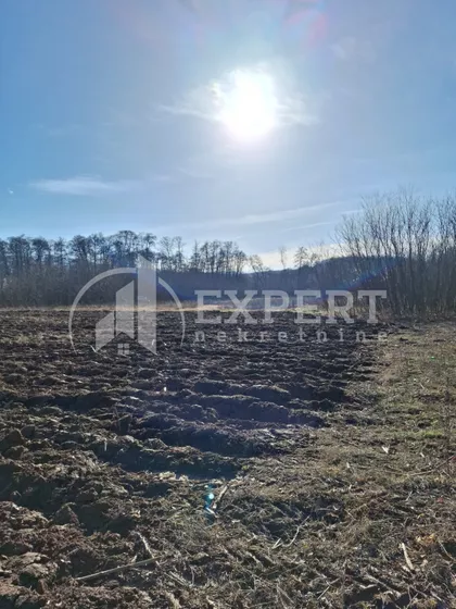 Jelašnica | 4zida.rs