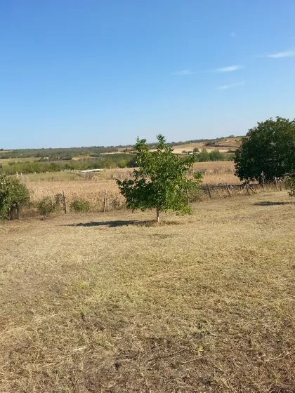 Svetosavska | 4zida.rs
