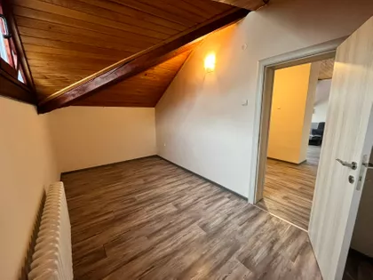 Lajoša Joa | 4zida.rs