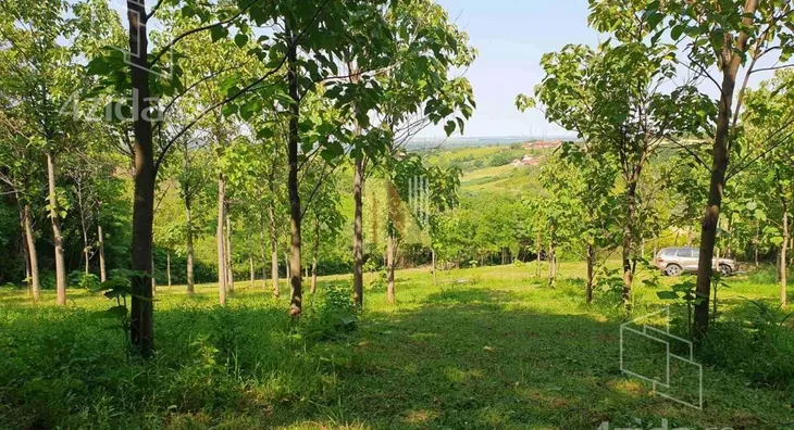 Plac | 4zida