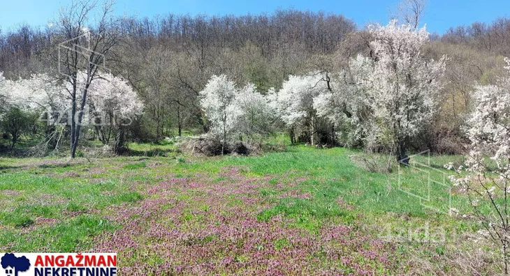 Poljoprivredno zemljište | 4zida