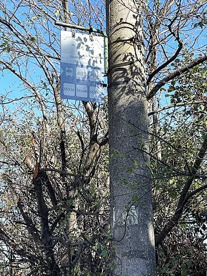Glumčevo Brdo | 4zida.rs