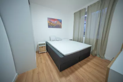 Roze Luksemburg | 4zida.rs