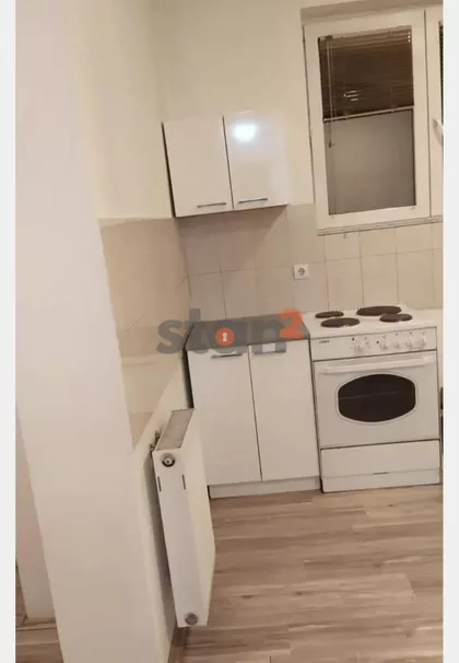 Šojka | 4zida.rs