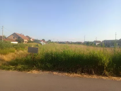 Azanjska | 4zida.rs