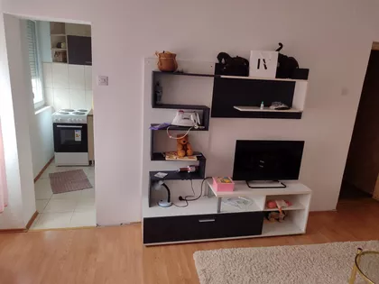 Hajduk Veljkova | 4zida.rs