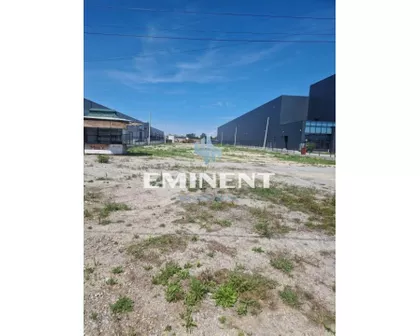 Majora Zorana Radosavljevića | 4zida.rs