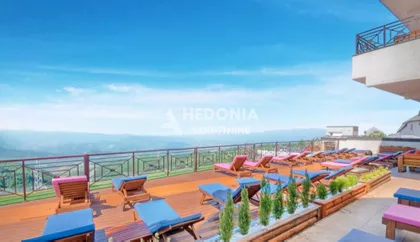 Arčibalda Rajsa | 4zida.rs