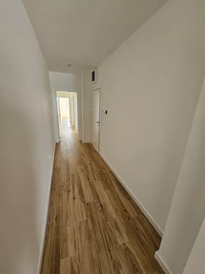 Južni Telep | 4zida.rs