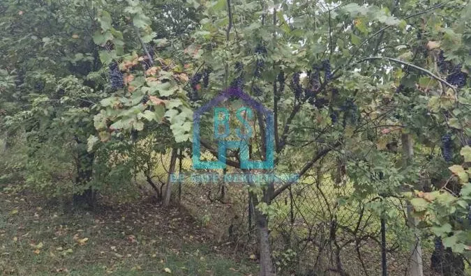 Plac | 4zida