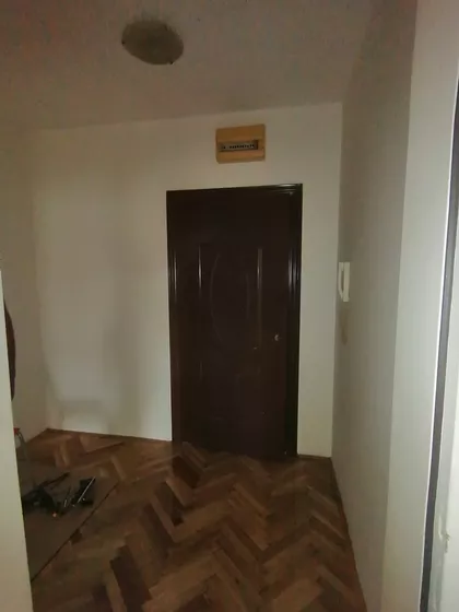 Detelinara | 4zida.rs