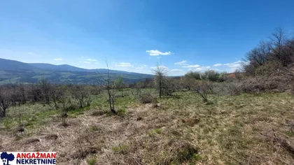 Krivovirska | 4zida.rs