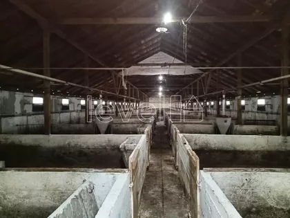 Mošorin | 4zida.rs