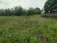 Plac | 4zida