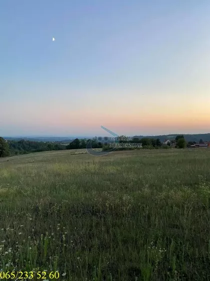 Branislava Jovanovića | 4zida.rs