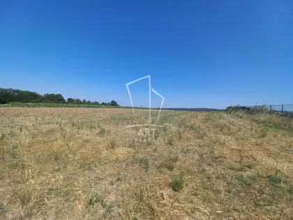 Jaroslava Černog | 4zida.rs