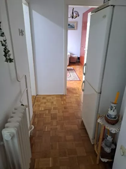 Momčila Tapavice | 4zida.rs