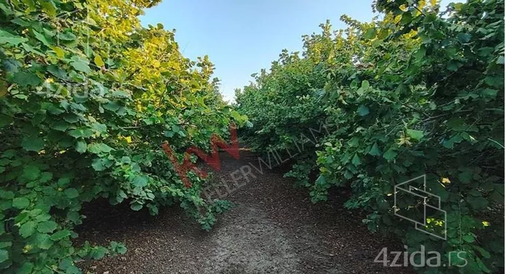 Poljoprivredno zemljište | 4zida