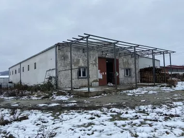 Badnjevac