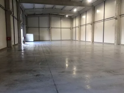 NOVOSADSKI AUTOPUT | 4zida.rs