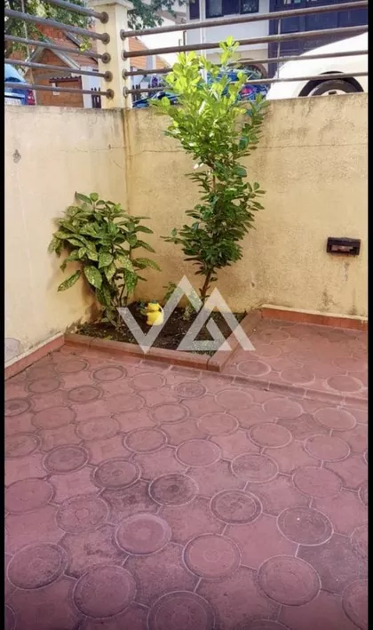 Siva stena | 4zida.rs