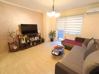 Nova Detelinara | 4zida.rs