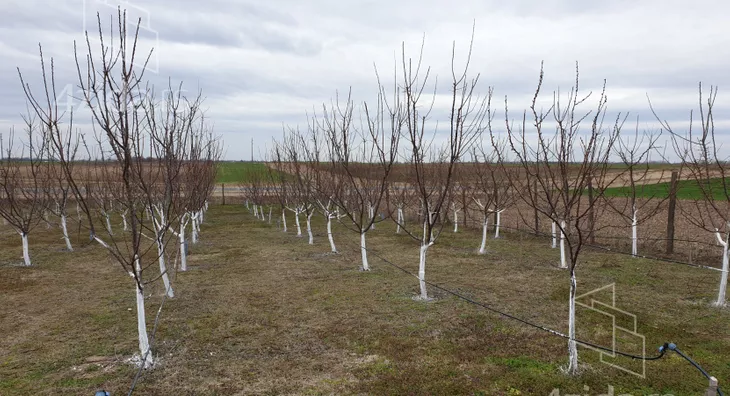 Poljoprivredno zemljište | 4zida