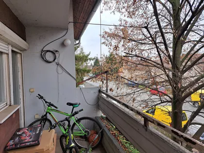 Kralja Radoslava | 4zida.rs