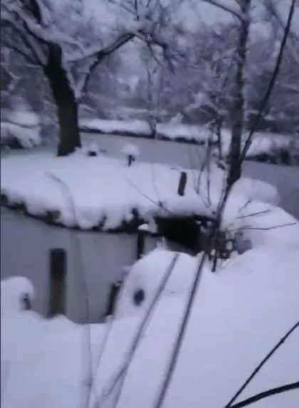 Alibegovac | 4zida.rs